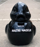 Black ducky of bodyguard H63xlo65xla48
