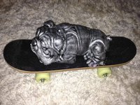 Horace et son skate vendu